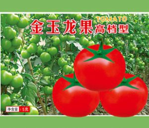 供应金玉龙果高档型—番茄种子