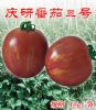供应庆研番茄三号—番茄种子