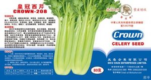 供应皇冠西芹CROWN—208—芹菜种子