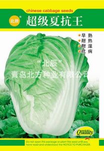 供应超级夏抗王—白菜种子
