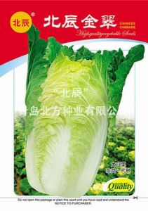 供应北辰金翠—白菜种子