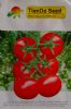 供应天福569-番茄种子