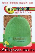 供应日本绿宝翠—甜瓜种子