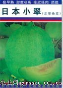 供应日本小翠—甜瓜种子