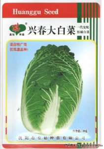 供应兴春大白菜—白菜种子