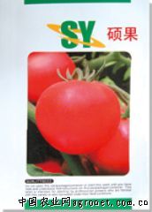 供应硕果—番茄种子