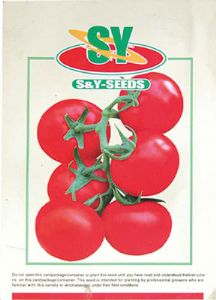 供应以色列302—番茄种子