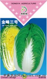 供应金峰三号—白菜种子