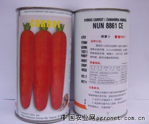 供应春晓8861—胡萝卜种子