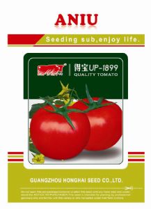 供应得宝UP—1899—番茄种子