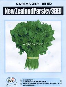 供应Newzealand Parseley Seed——香菜种子