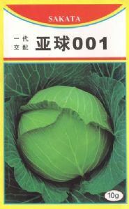 供应亚球001—甘蓝种子