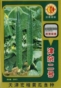 津杂二号—黄瓜种子