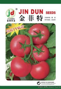 供应金菲特—番茄种子