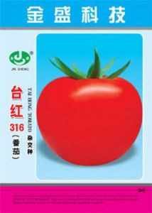 供应台红316-番茄种子