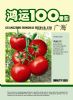 供应鸿运100—番茄种子