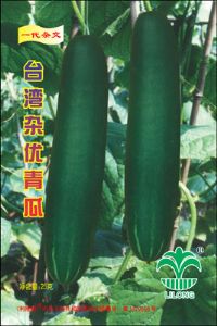 台湾杂优青瓜——黄瓜种子