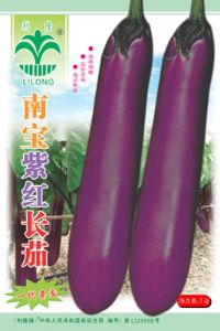 南宝紫红长茄——茄子种子