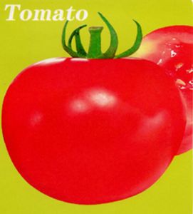 供应奇美—番茄种子