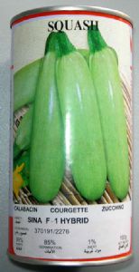 供应赛纳—西葫芦种子
