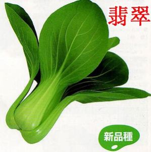 供应翡翠-油菜种子