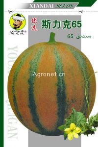 供应斯力克65-甜瓜种子
