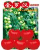 金罗汉113番茄——番茄种子