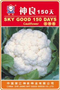 供应神良150天—花椰菜种子
