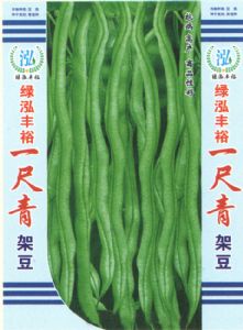 供应一尺青—菜豆种子
