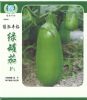 供应绿罐茄F1—茄子种子