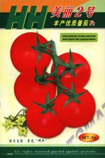 供应美丽二号丰产优质番茄F