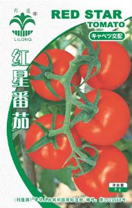 红星番茄--番茄种子