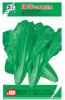 供应绿丰—菠菜种子
