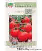 供应抗Ty001—番茄种子