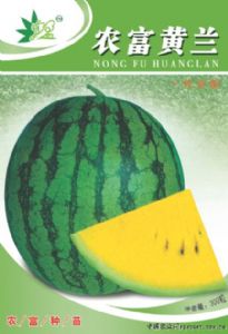供应农富黄兰—西瓜种子
