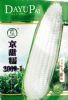 供应京甜糯2000-1-玉米种子