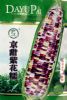 供应京甜紫花糯-玉米种子