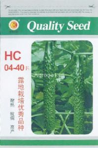 HC04—40—黄瓜种子