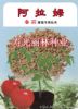 供应番茄砧木种子-阿拉姆番茄砧木