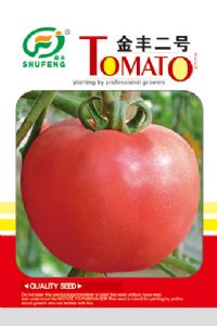 供应金丰二号—番茄种子