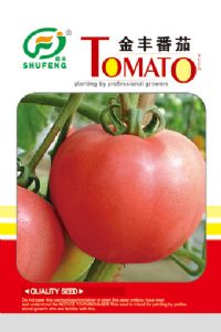 供应金丰—番茄种子