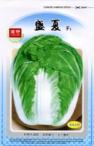 供应盛夏—白菜种子
