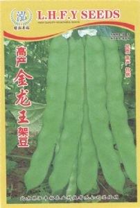 供应高产金龙王架豆—菜豆种子
