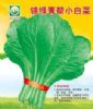 供应锦绿—青梗菜种子