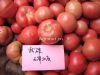 供应上海906—番茄种子