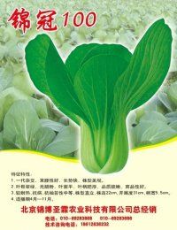 供应锦冠100—青梗菜种子