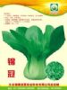 供应锦冠—青梗菜种子