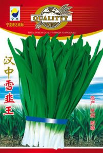 供应汉中雪韭王—韭菜种子