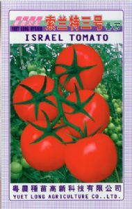 供应索兰特3号—番茄种子