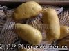 供应滕州荷兰小土豆